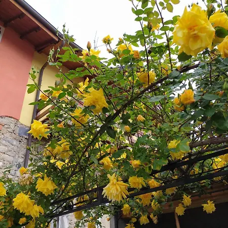 Holiday home Lakes & Hills Nebbiuno